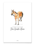 Poster "Quader-Horse"