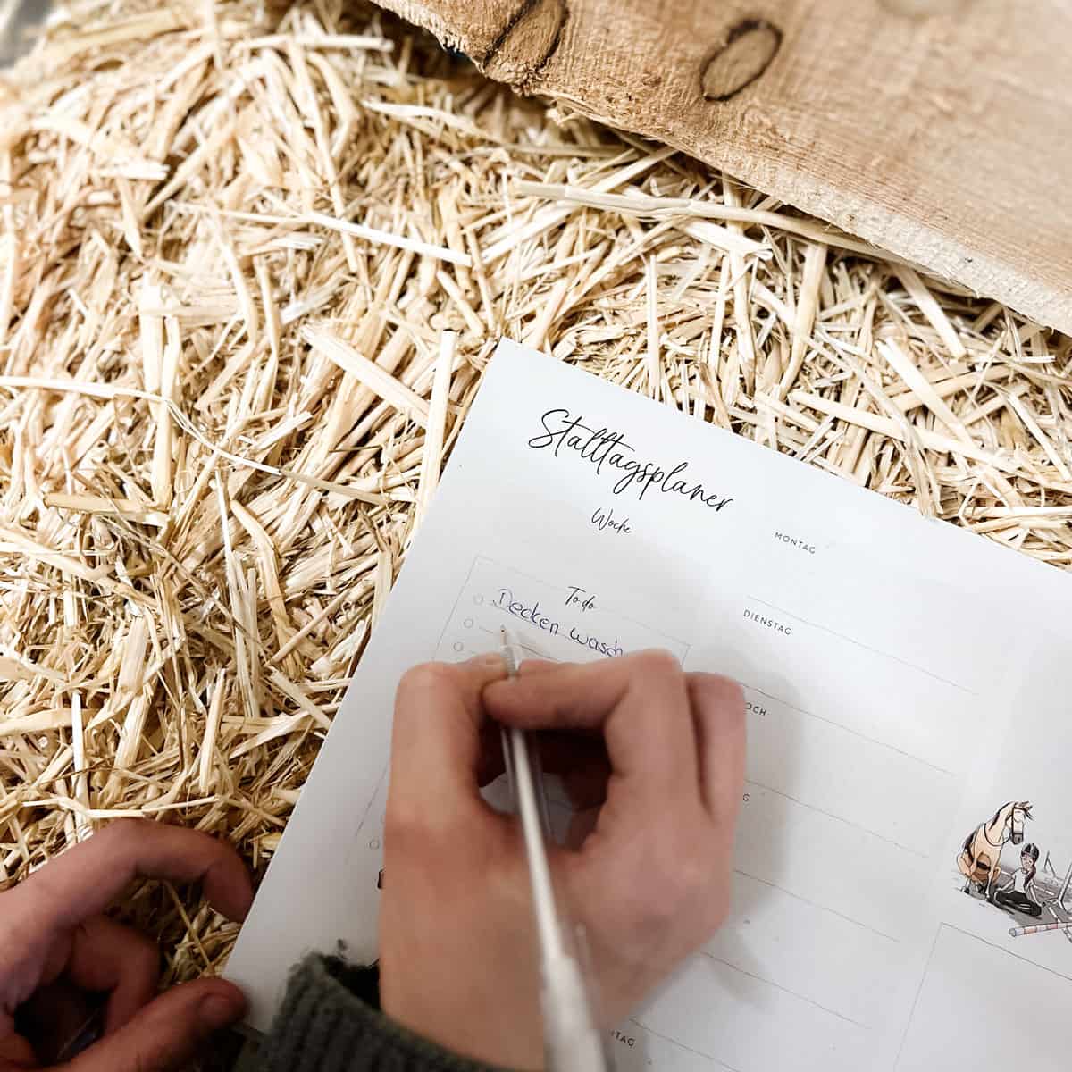 Stalltagsplaner | DIN A4