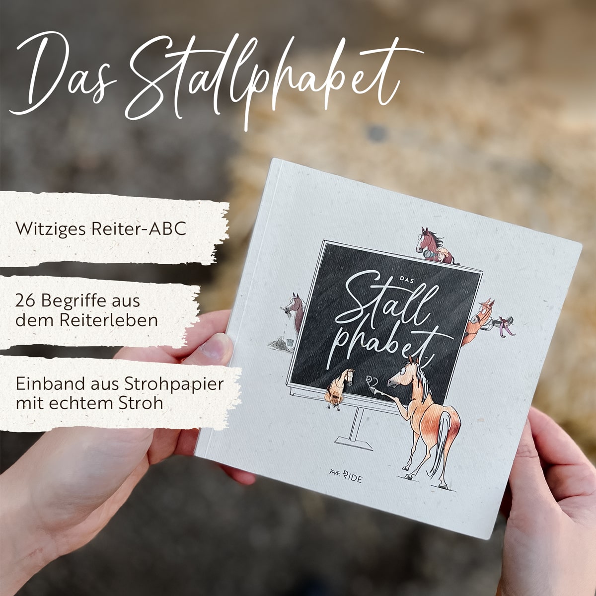 Bundle | 2x Stallphabet