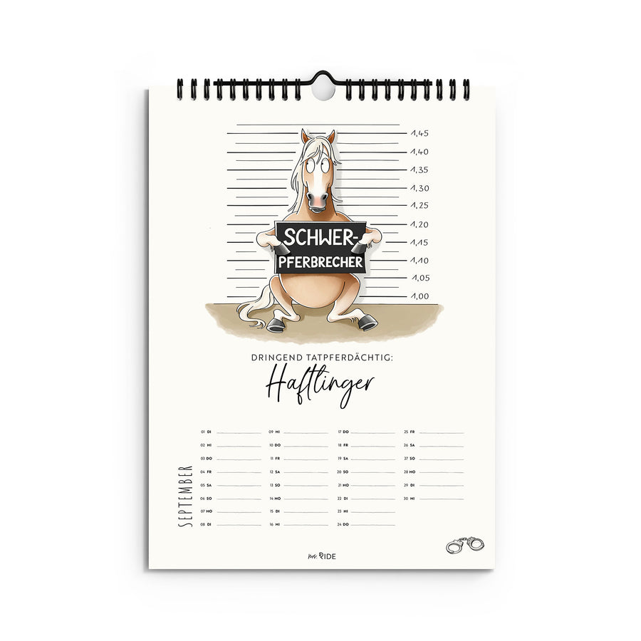 Haflinger Kalender 2026