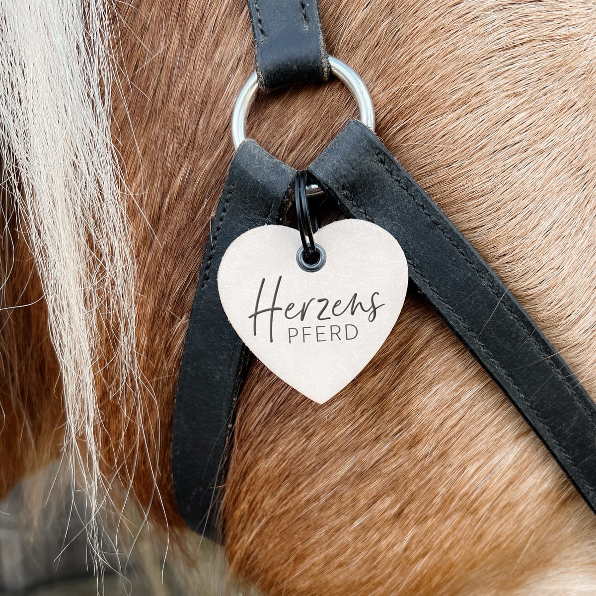 Lederanhänger "Herzenspferd"