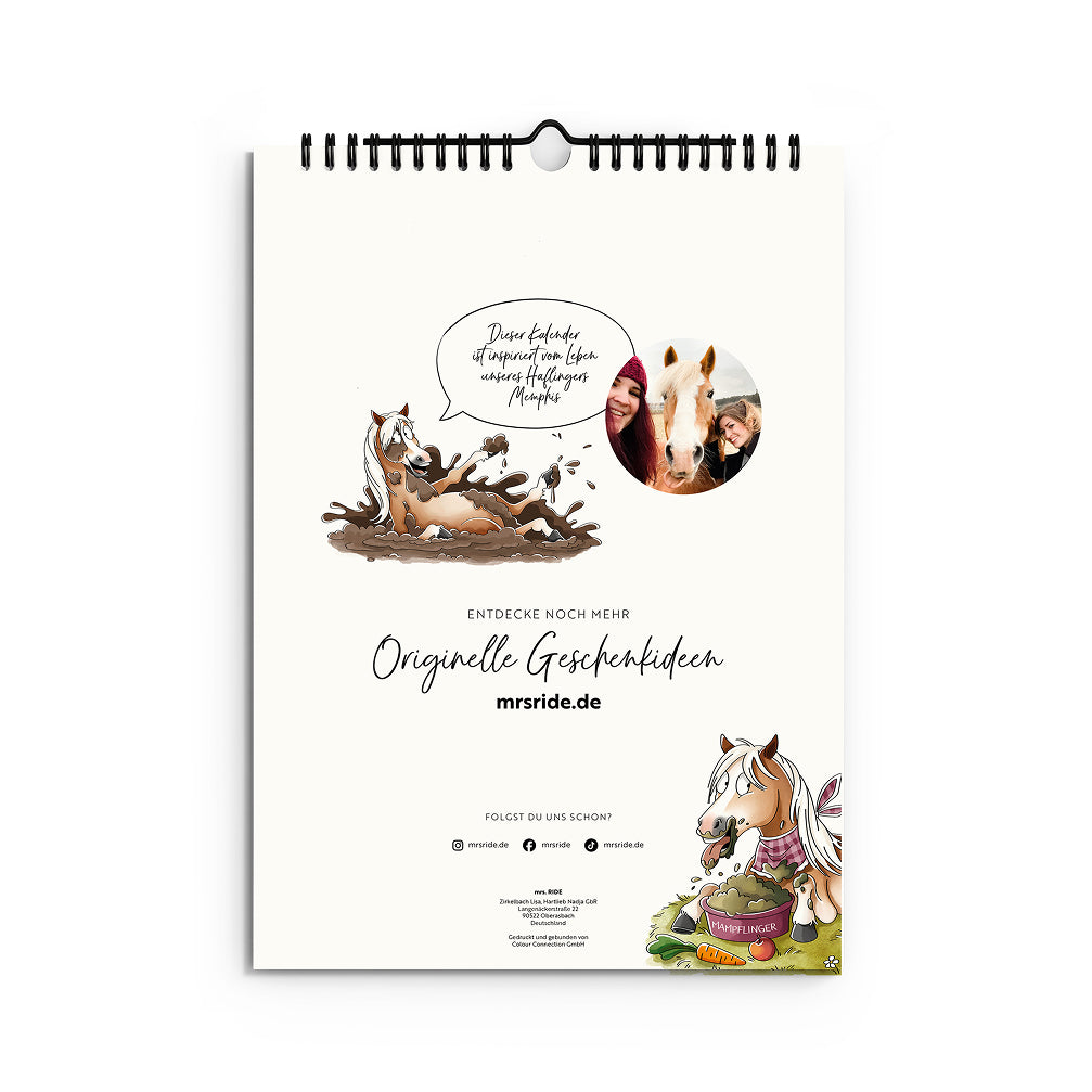 Haflinger Kalender 2027