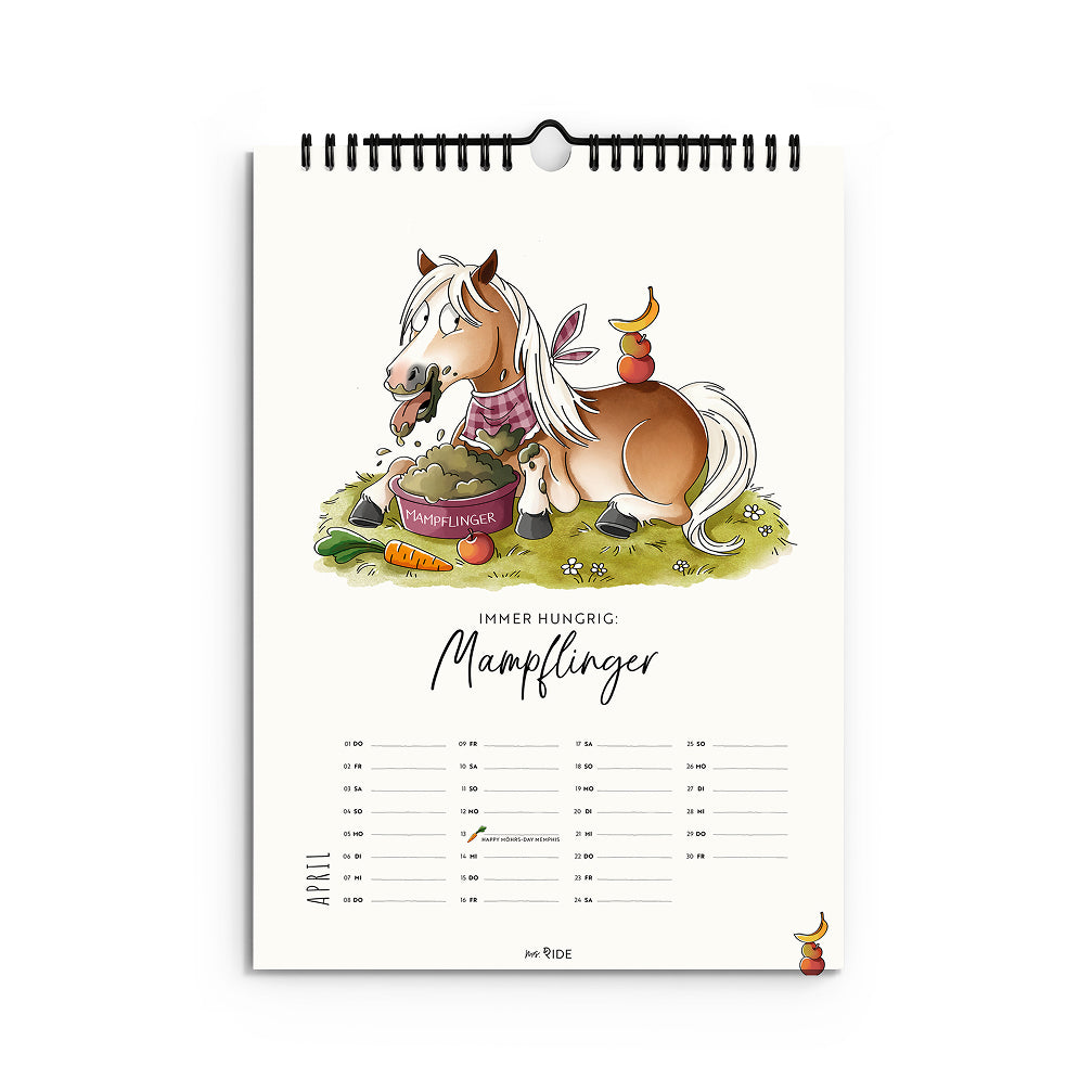 Haflinger Kalender 2027