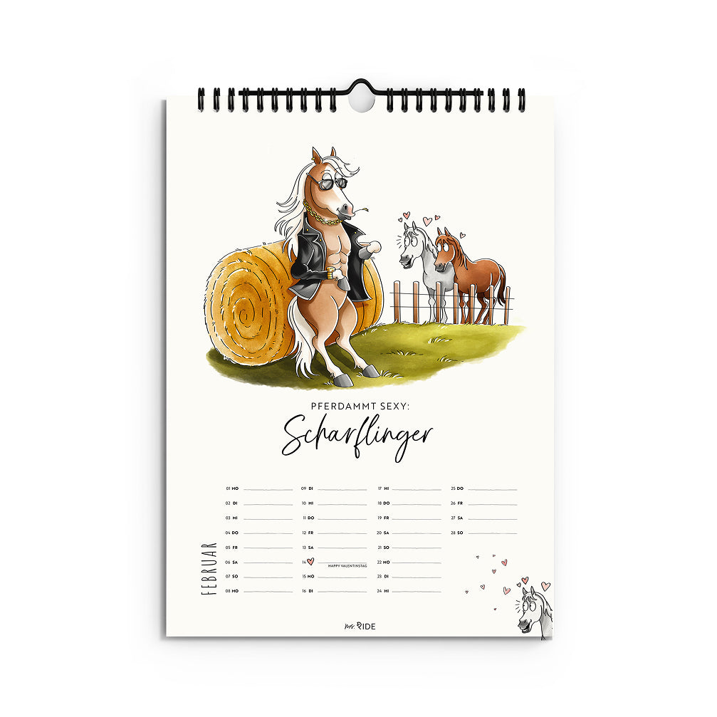 Haflinger Kalender 2027