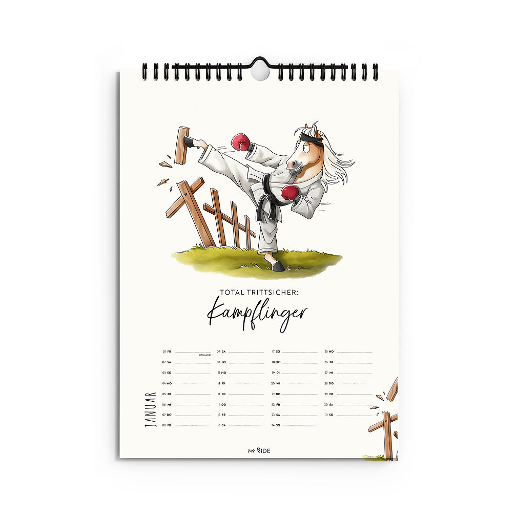 Haflinger Kalender 2027