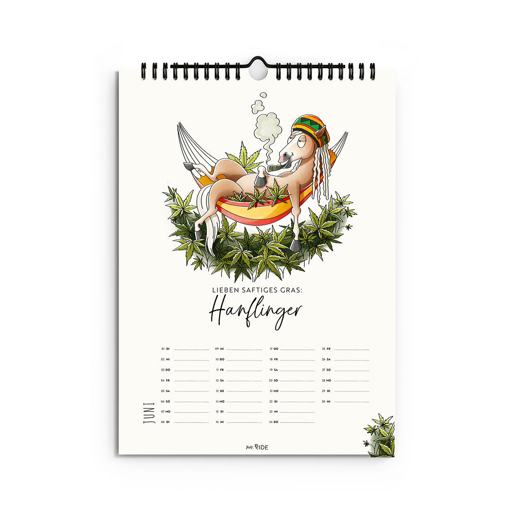 Haflinger Kalender 2027