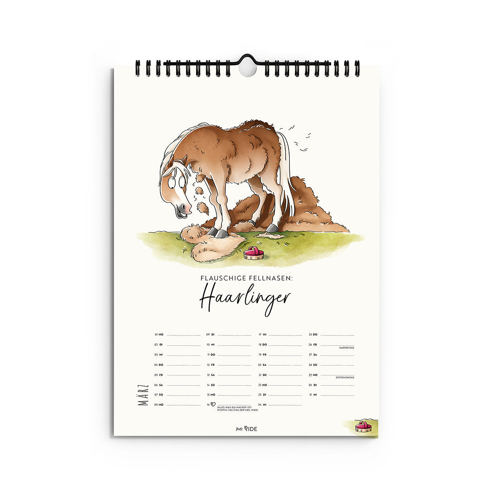 Haflinger Kalender 2027