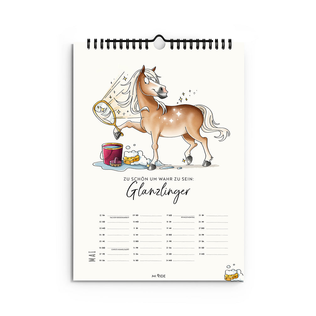 Haflinger Kalender 2027