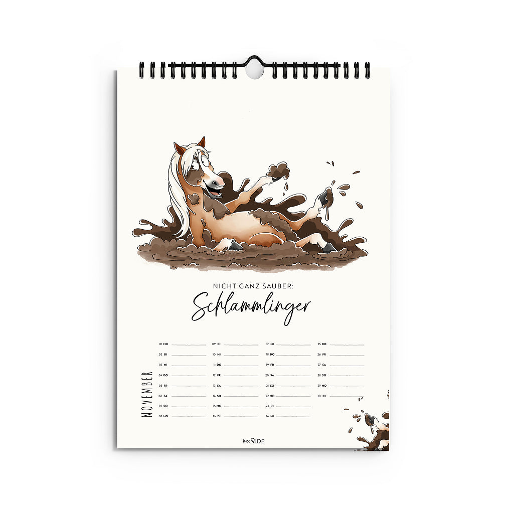 Haflinger Kalender 2027