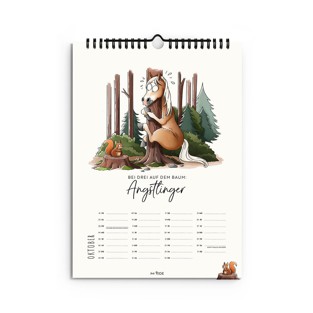 Haflinger Kalender 2027