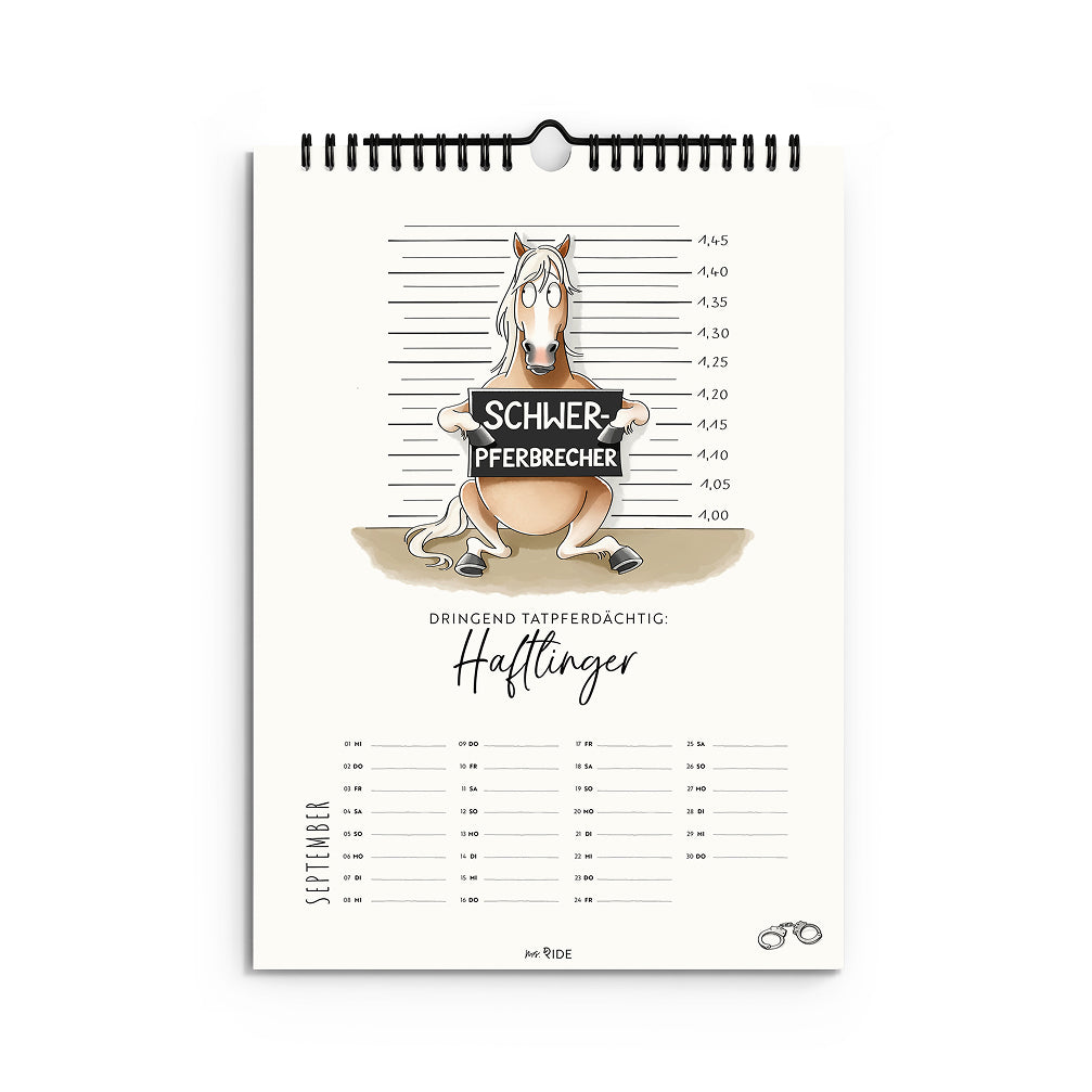 Haflinger Kalender 2027