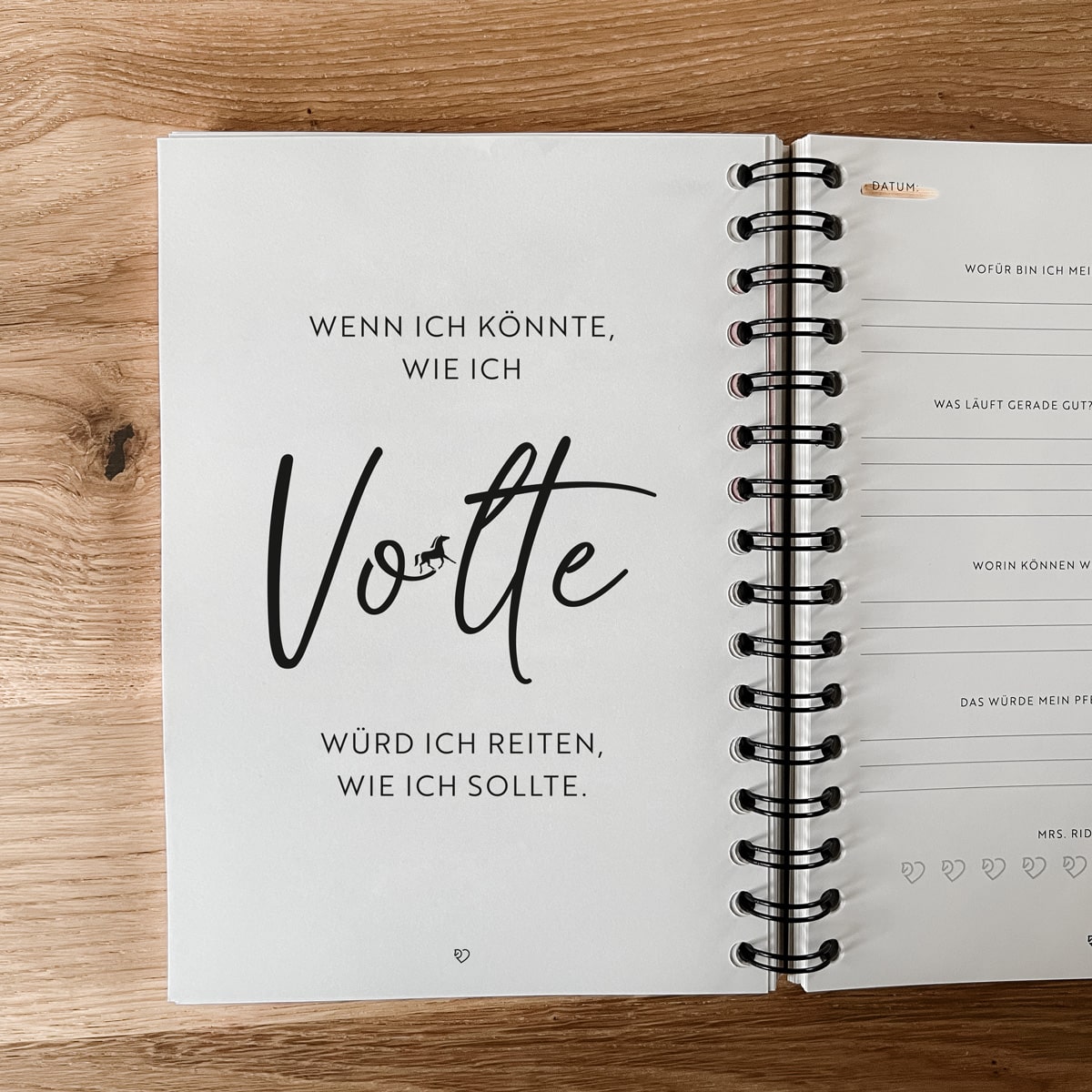 Journal "Im guten wie im schlechten Reiten"