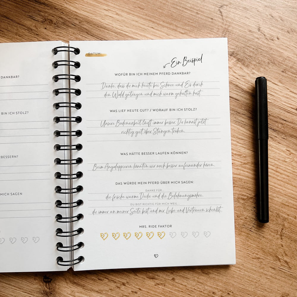 Journal "Im guten wie im schlechten Reiten"