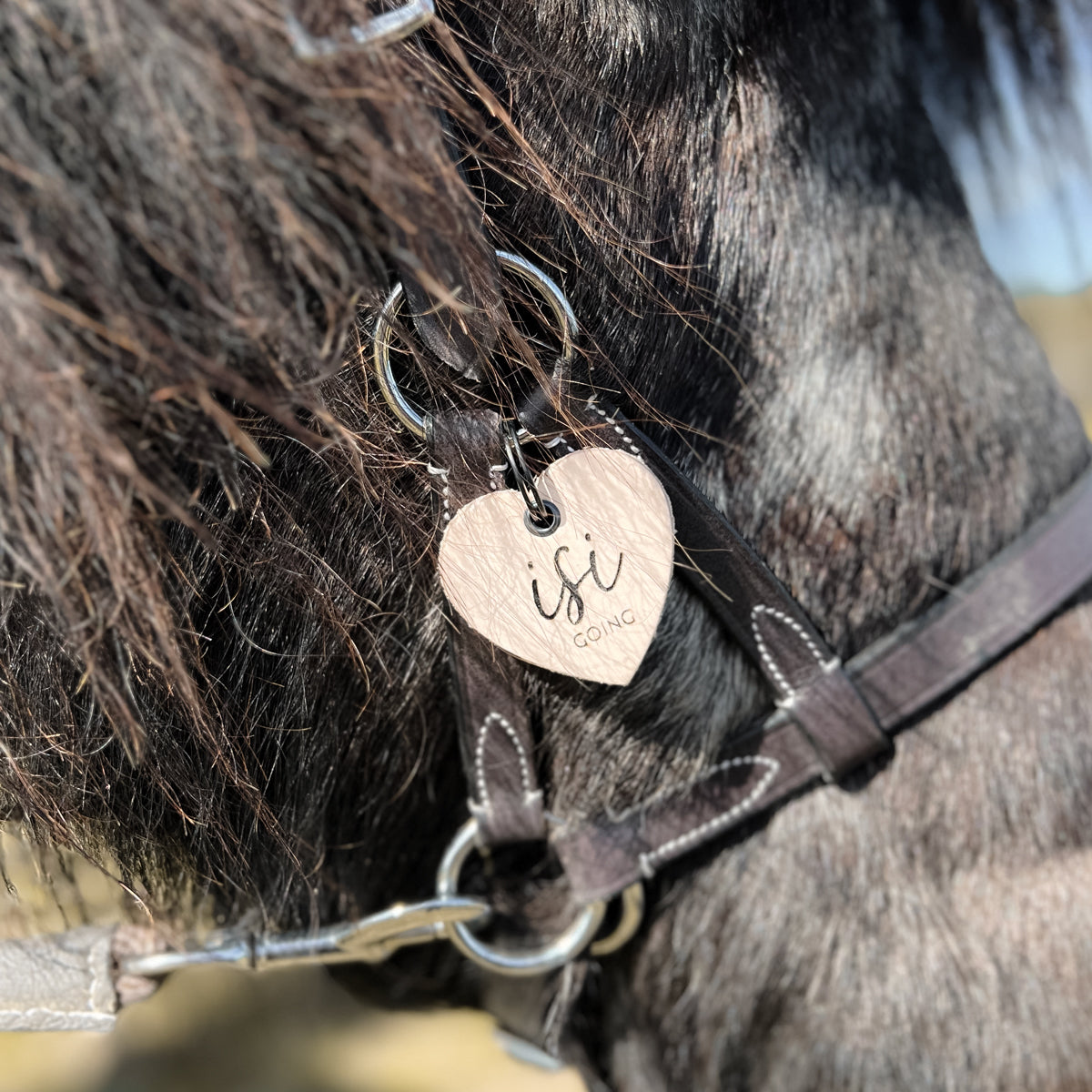 Lederanhänger "isi going"