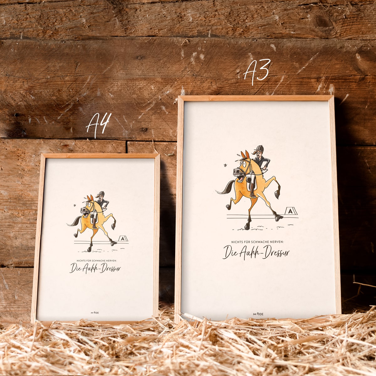 Poster "Ahh-Dressur"