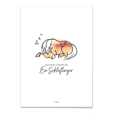 Poster "Schlaflinger"