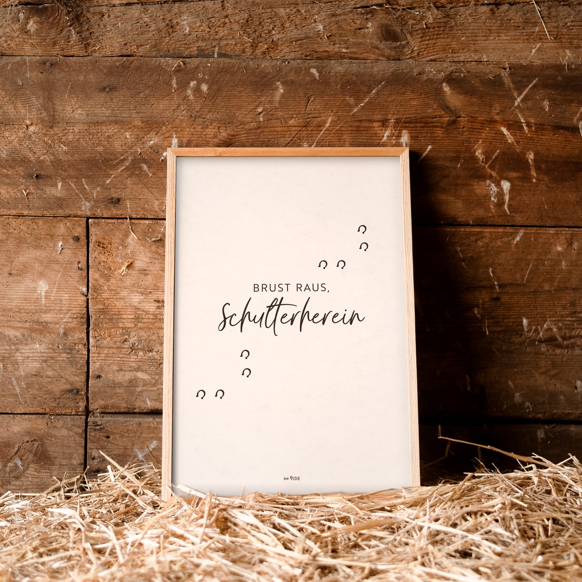 Poster "Schulterherein"