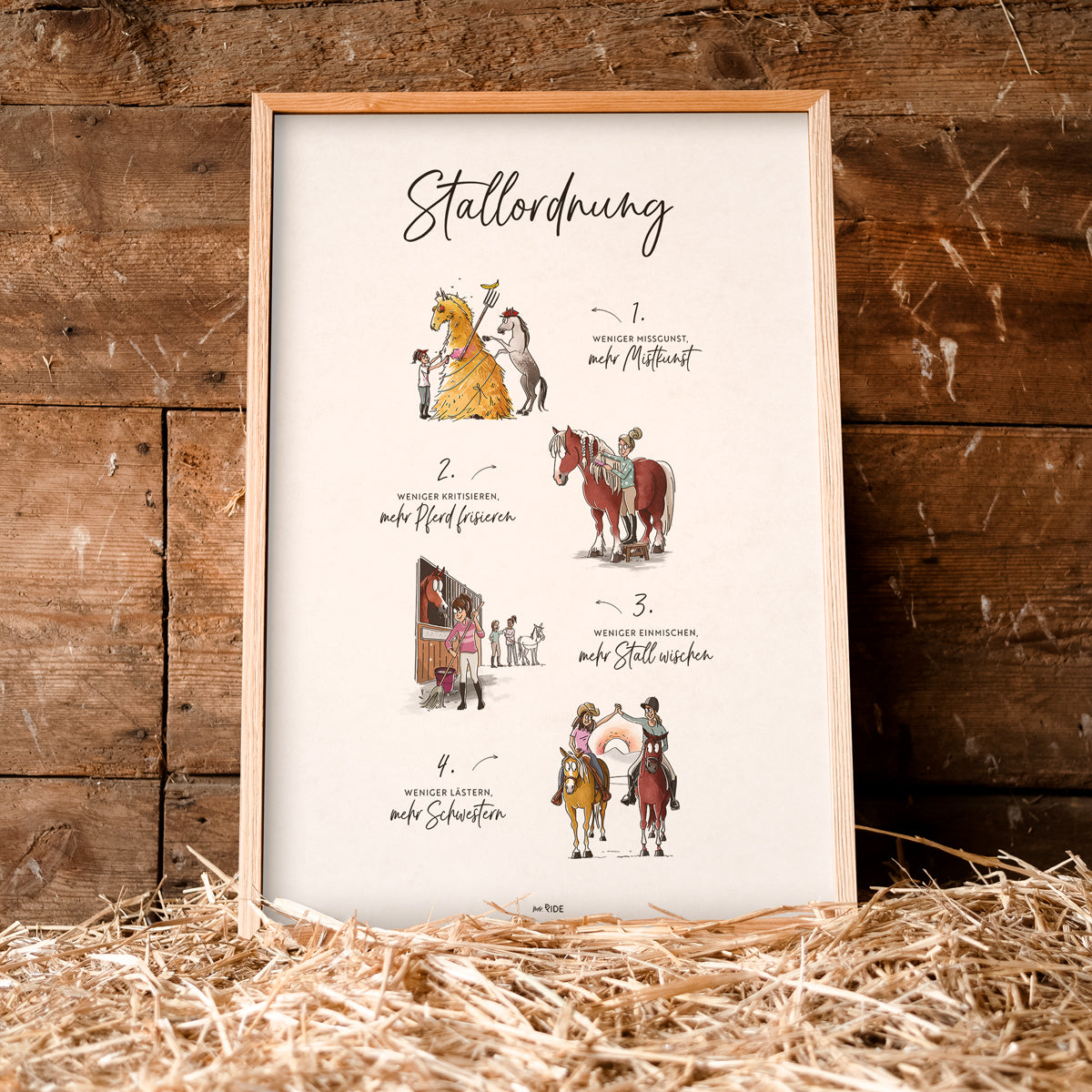 Poster "Stallordnung"